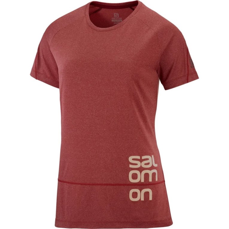 Red Salomon Cross Run Graphic Short Sleeve Women's T-Shirts | IE GJ3192